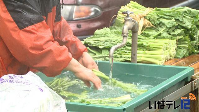 大芝高原にお菜洗い場　開設