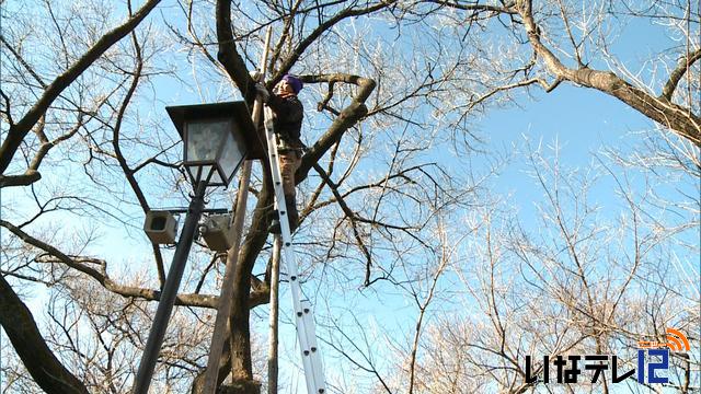 この冬一番の冷え込み　伊那竏・.4度