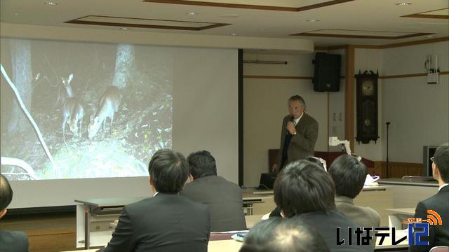 中ア山麓部にシカ入り込みの可能性