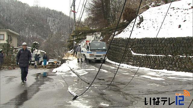 雪で倒木　1，900戸が停電