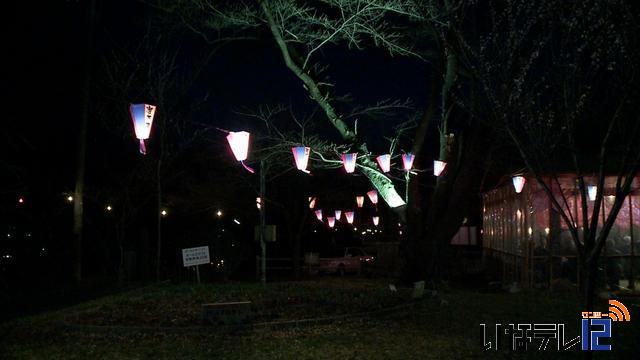 伊那公園ぼんぼり点灯