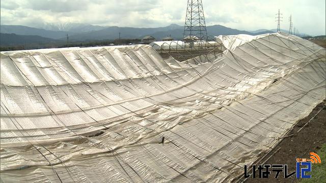 3日の暴風雨　倒木や農業用ビニールハウスの倒壊などの被害