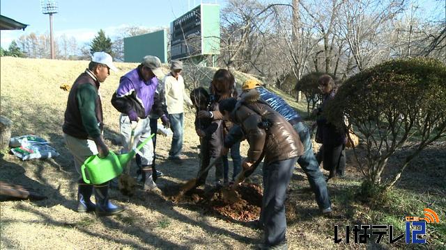 ボランティアグループVYS会が桜植樹