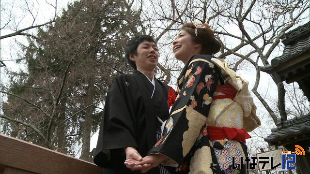 高遠城址公園で恋の花“開花”