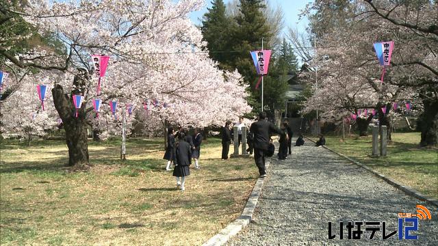 地域の桜シリーズ(2)　～伊那公園～