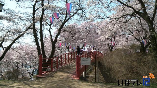 桜シリーズ　春日城址公園