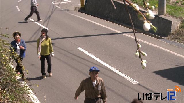 ウォーキングで箕輪の春を満喫