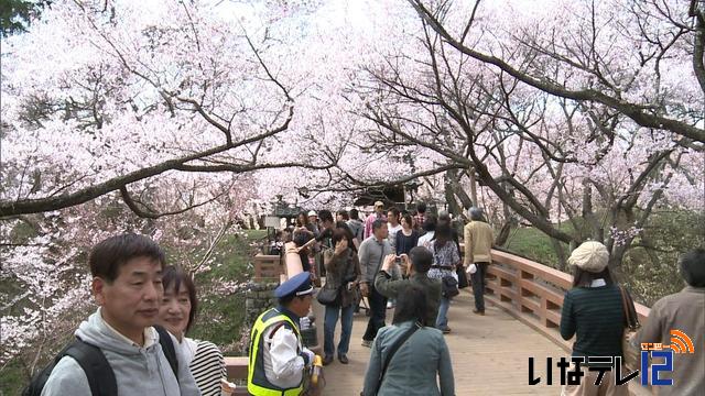 高遠城址公園　有料入園者数