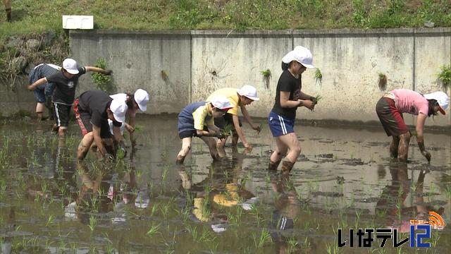 箕輪西小学校5年生　田植え体験