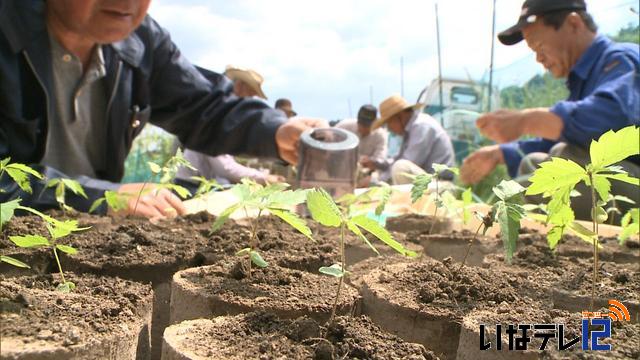 伊那市西春近諏訪形の住民　保育ブロックにケヤキなど植える