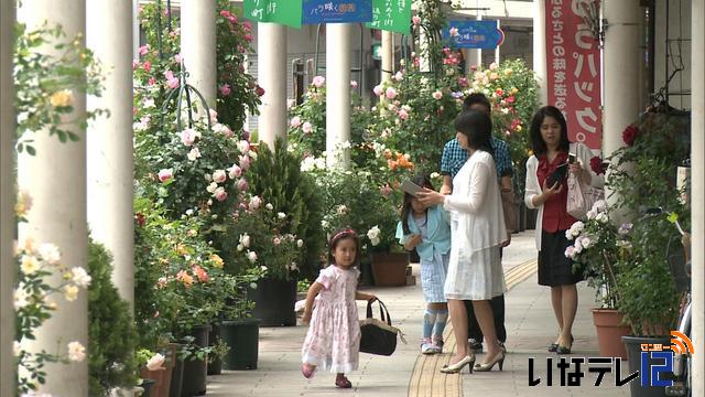 伊那バラまちフェスタ始まる