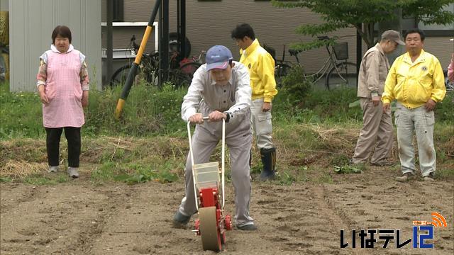 二十四節季「芒種」　エゴマの種まき