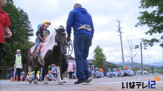 手良保育園　ポニー乗馬体験