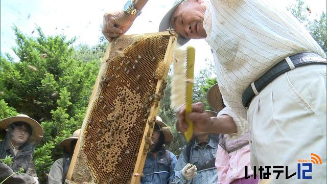 信大生がハチミツ絞りに挑戦