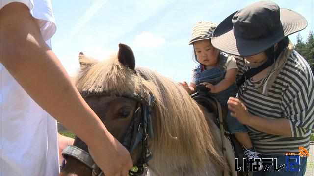 松島区の親子　ポニーと触れあう