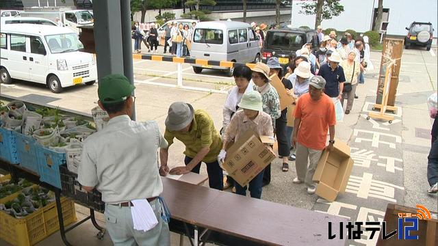 伊那市振興公社　花の苗配布