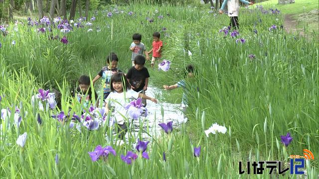 涼しい夏至　園児元気に水遊び