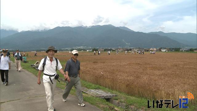 東春近ハイキング　地域の魅力再発見