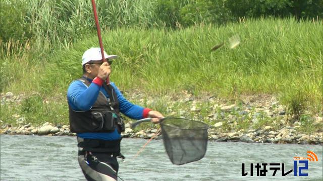 天竜川の夏の風物詩「アユ釣り」解禁