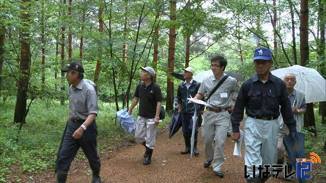 樹種転換に向け大芝高原を視察