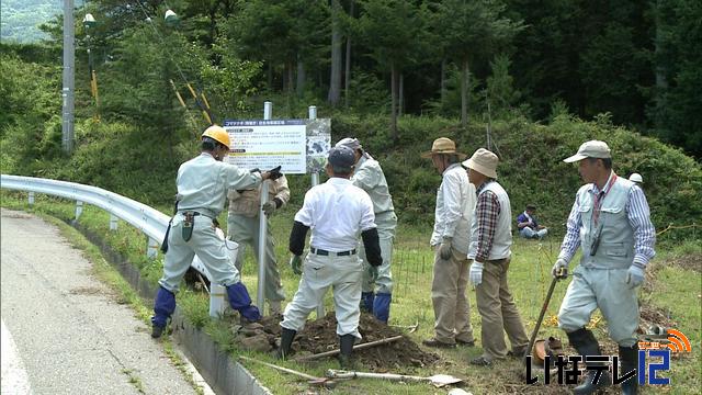 コマツナギの群生地に看板設置