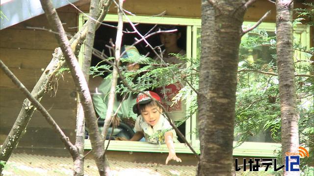 信州あそびの杜学園が秘密基地づくり