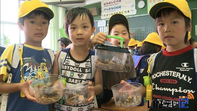 森さん　子ども達にカブトムシプレゼント