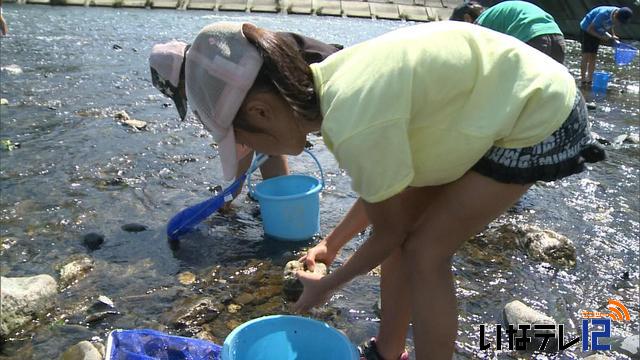 子供たちが水生生物調査