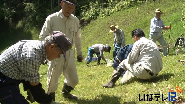 諏訪形の住民　保育ブロック工法で育てた苗を植樹