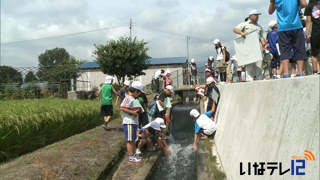 西箕輪小学校の児童が農業水利施設などを見学