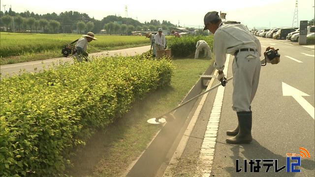 上伊那年金受給者協会が草刈りで社会貢献