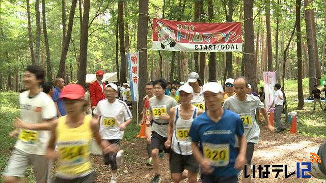 第2回伊那市トリムマラソン大会