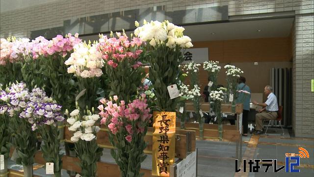 上伊那花卉品評会