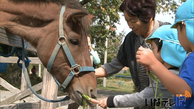 木曽馬とお別れの会