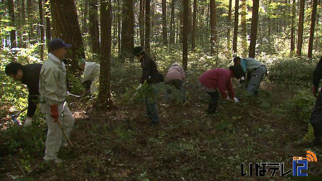 大芝高原で下草刈り