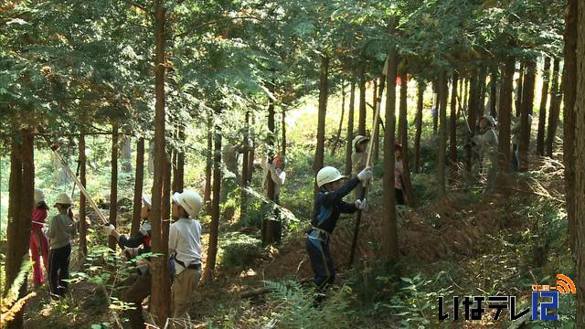 西春近北小児童が山林で枝打ち作業