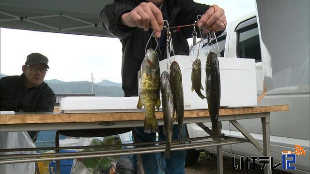 生態調査でバス釣り大会