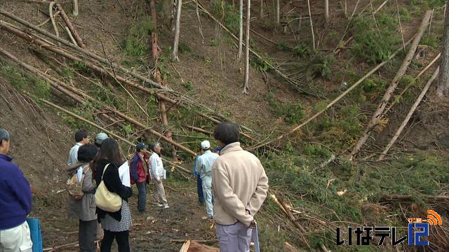 森林づくり県民税　活用現場を視察