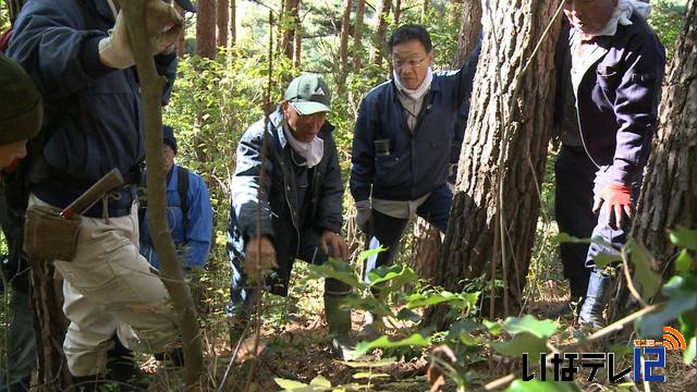 マツタケの生産技術を学ぶ