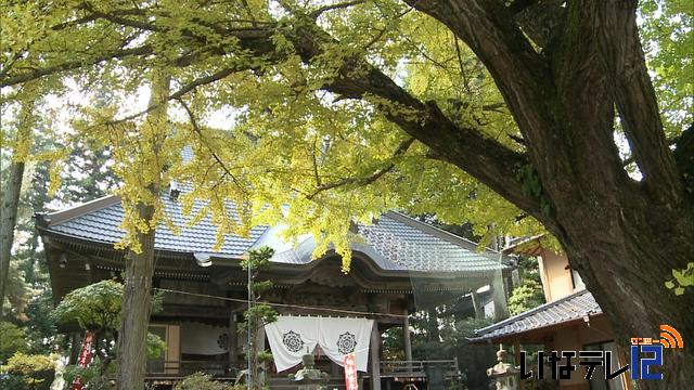 恩徳寺　色づき始める