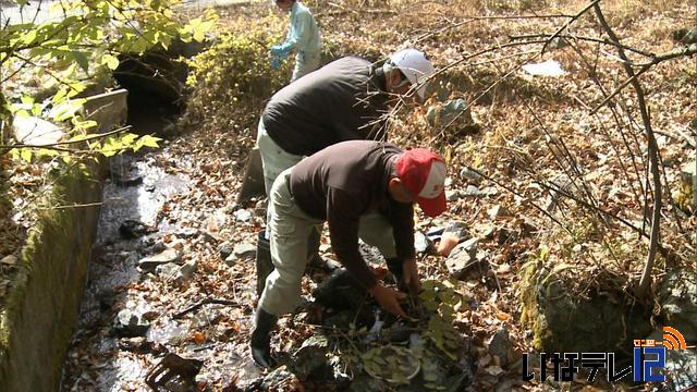 アマゴの卵20万個　天竜川支流に放流