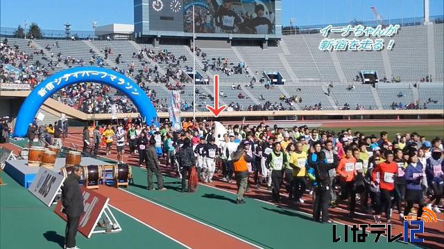 【カメラリポート】イーナちゃんが新宿マラソンに初参加