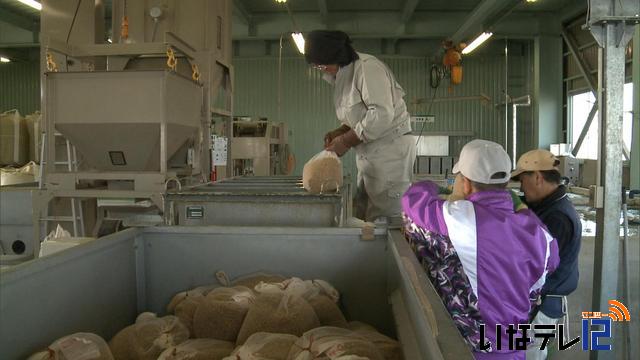 JA上伊那育苗センター　水稲の苗を発芽させる作業