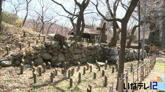 高遠城址公園　本丸虎口を整備へ