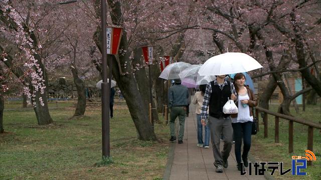 高遠城址公園　観光客の入り込み始まる