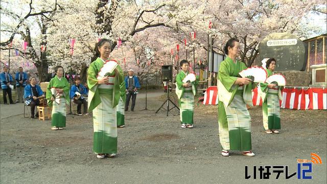 満開の桜の下で伊那節まつり