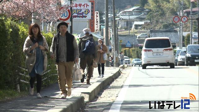 花見客の入り込みピーク