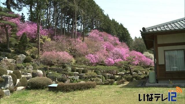 伊那の最高気温25.3度　今年初めての夏日