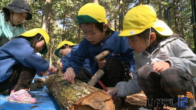 南箕輪村南部保育園　園児が椎茸の菌の駒打ち体験