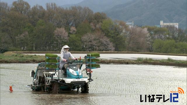 伊那市手良で早くも田植え